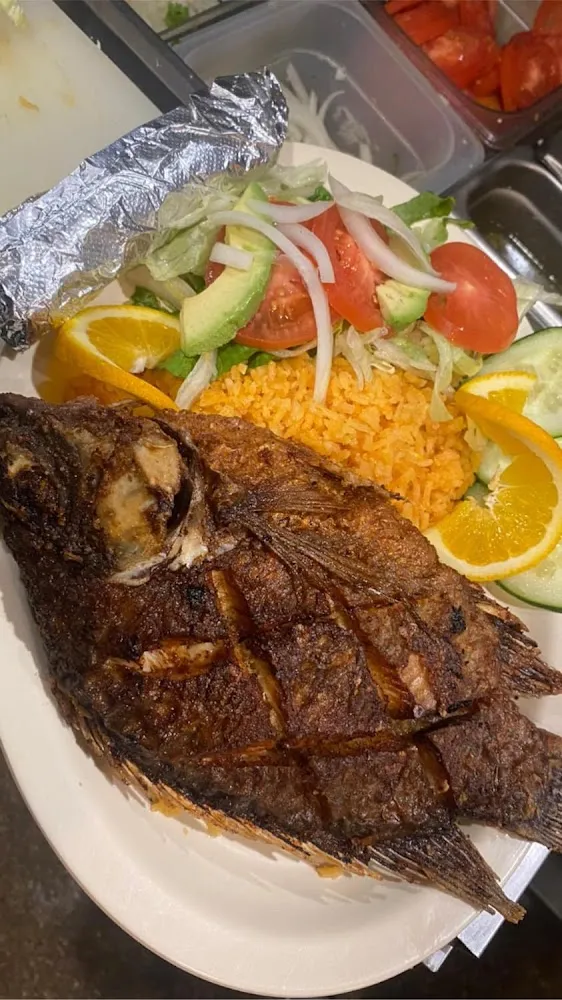 Tilapia